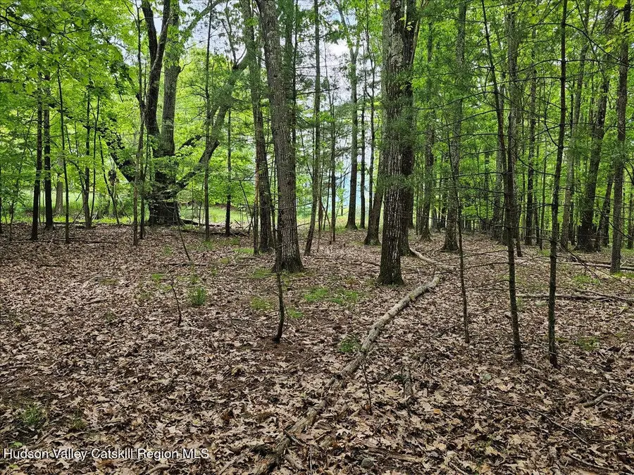 305 Maple Lawn Road, Cairo, NY 12413 - #3