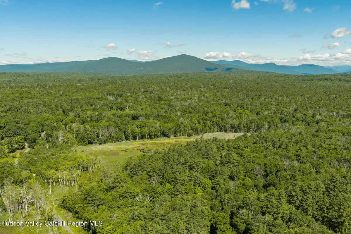 Tbd Buck Road, Stone Ridge, NY 12484 - #1
