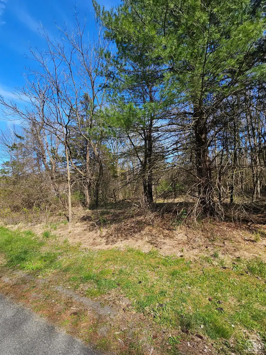 1105 Sleepy Hollow Road, Athens, NY 12015 - #3