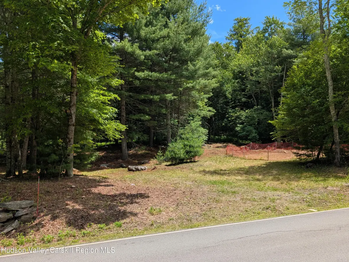 00 Ballard Road, Mongaup Valley, NY 12762 - #1