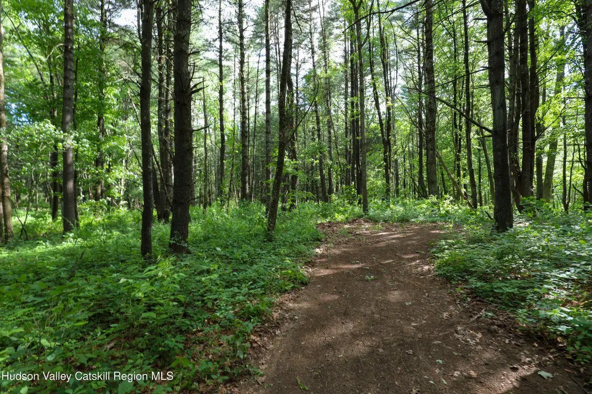 Tbd Old Kings Road, Catskill, NY 12414 - #1
