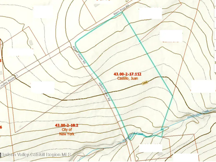 570 Albert Slater Road, Prattsville, NY 12468 - #3