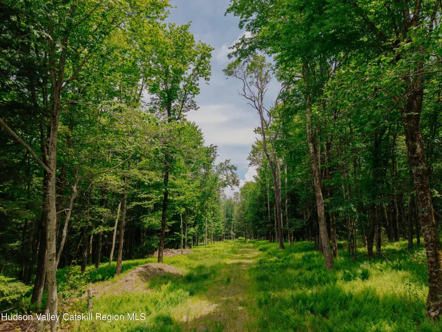 Tbd Church Lake Road, Livingston Manor, NY 12758 - #2