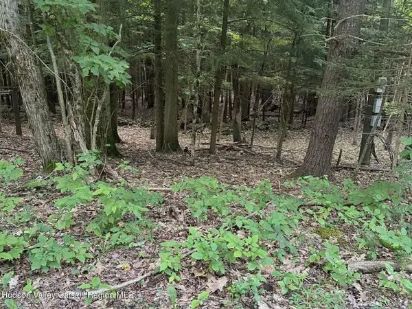 Lot #12 Deer Path, Jefferson, NY 12093