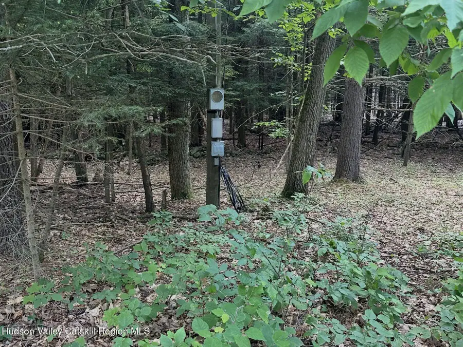 Lot #12 Deer Path, Jefferson, NY 12093 - #2