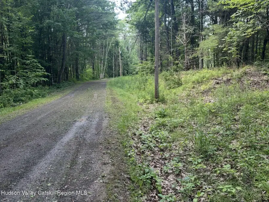 Lot #12 Deer Path, Jefferson, NY 12093 - #3