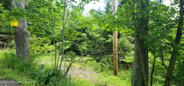 0 Route 32c, Windham, NY 12496