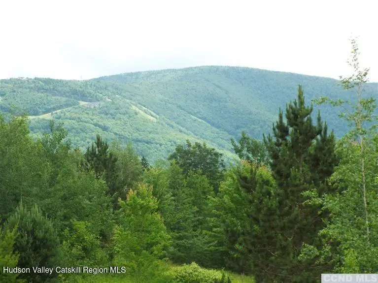 1991 Route 296, Jewett, NY 12444 - #3