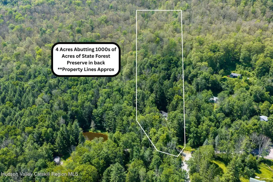 311 Glen Acres Road, Arkville, NY 12406 - #2