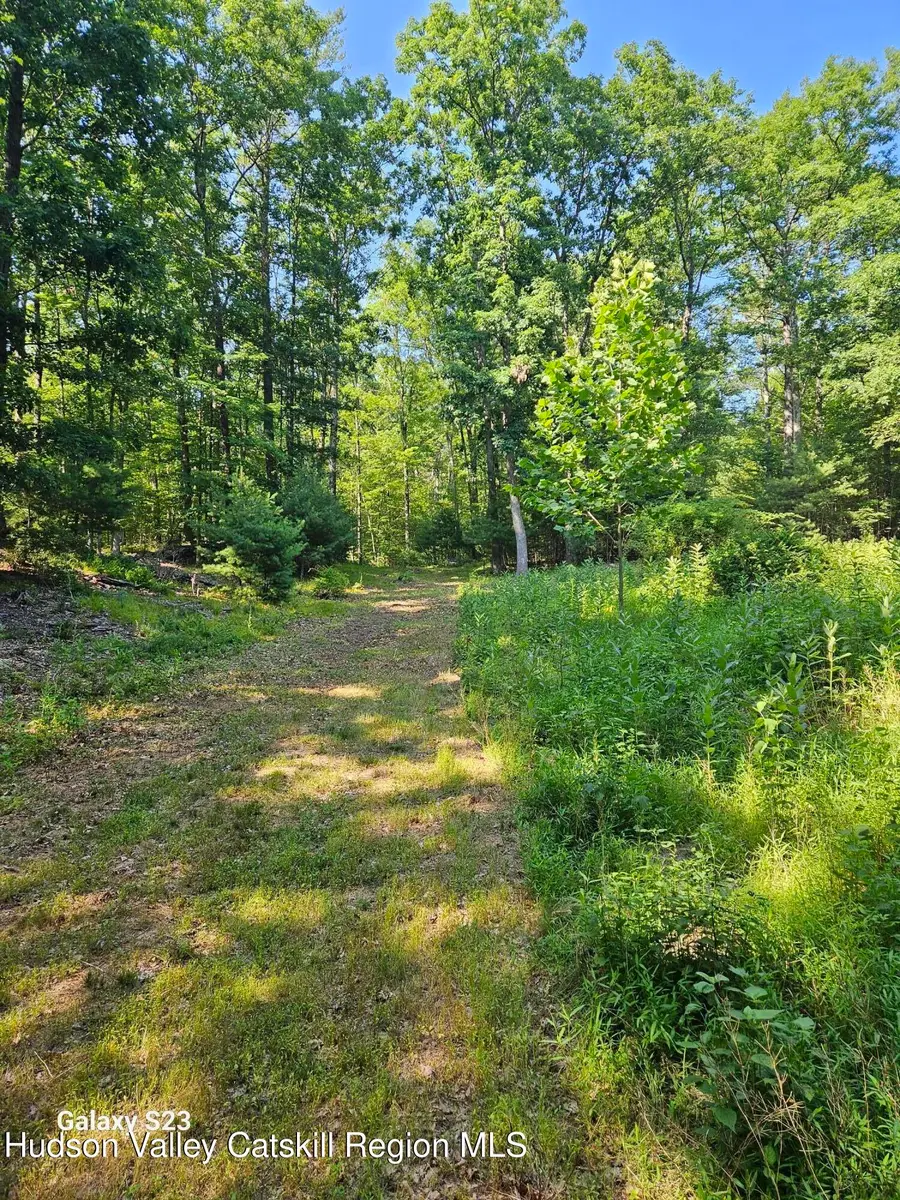 0 Hearts Content Road, Round Top, NY 12473 - #3