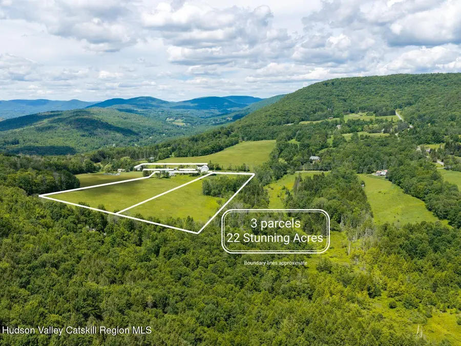 890 Hogg Mountain Road, Fleischmanns, NY 12430 - #2
