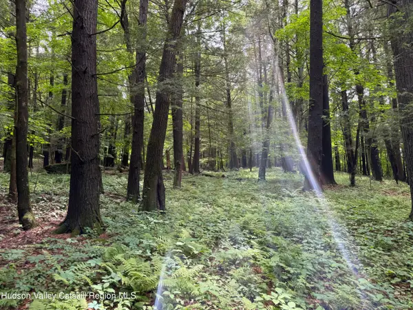 Tbd Green Lake Road, Athens, NY 12015