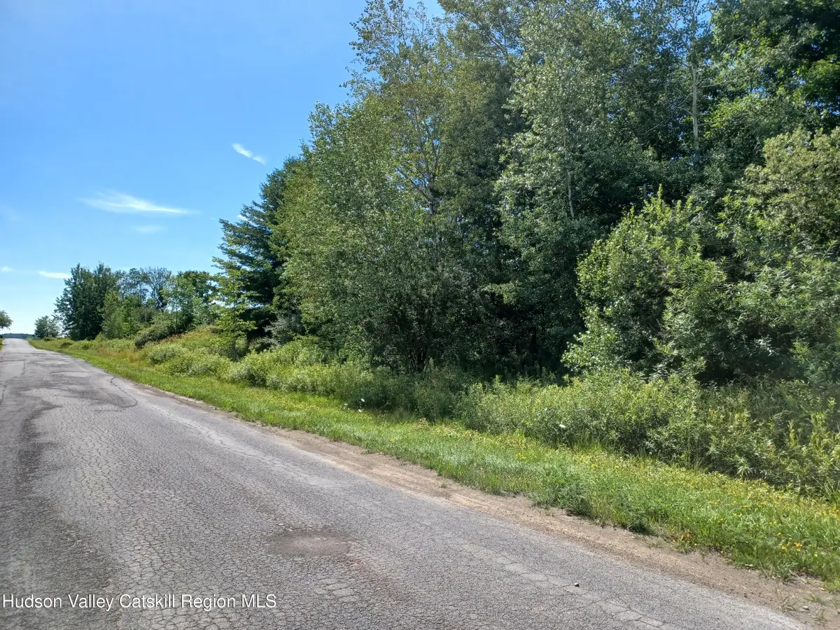 Tbd Hamlet View Road, Sidney, NY 13838 - #1