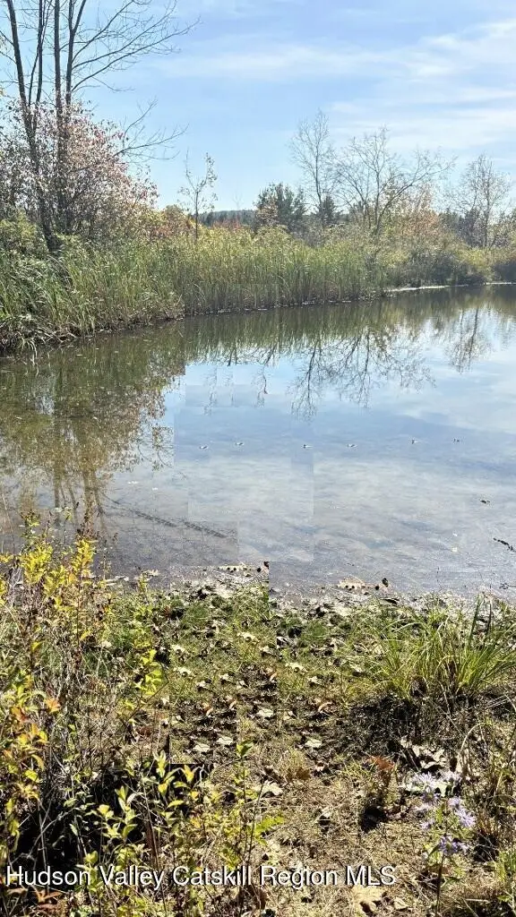 Tbd Hamlet View Road, Sidney, NY 13838 - #2