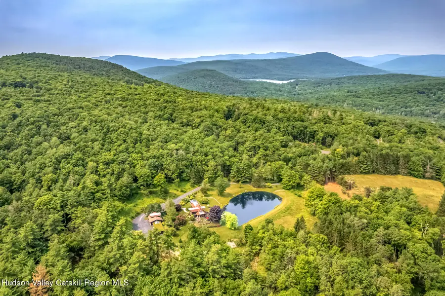 262 Macdaniel Road, Bearsville, NY 12409 - #3