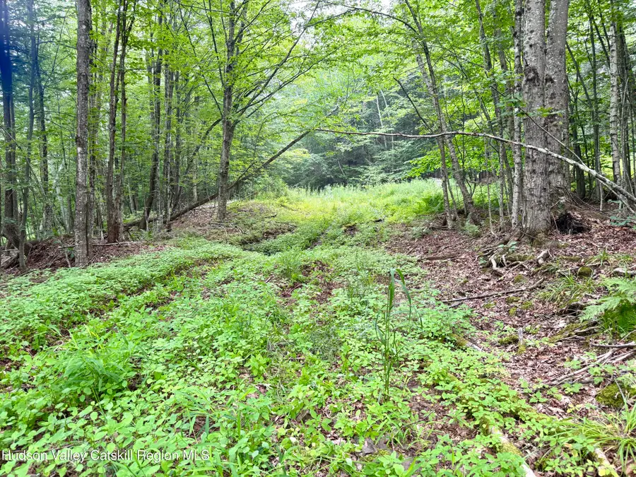174 High Peak Road, Windham, NY 12496 - #3
