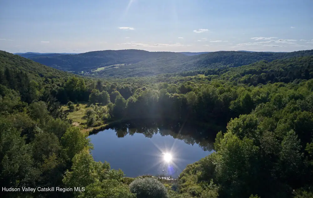 1855 Davis Hollow Road, Andes, NY 13731 - #1