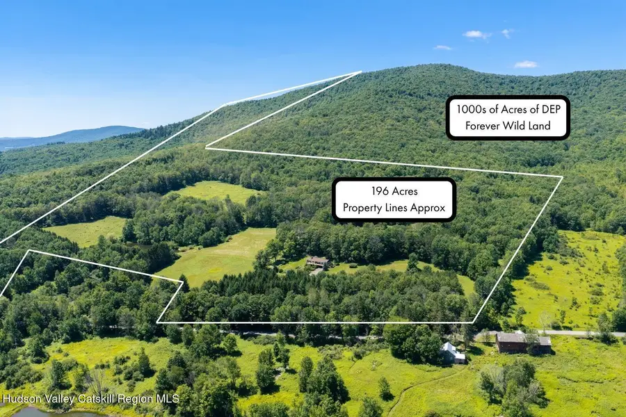 1339 Hard Scrabble Road, Roxbury, NY 12474 - #3