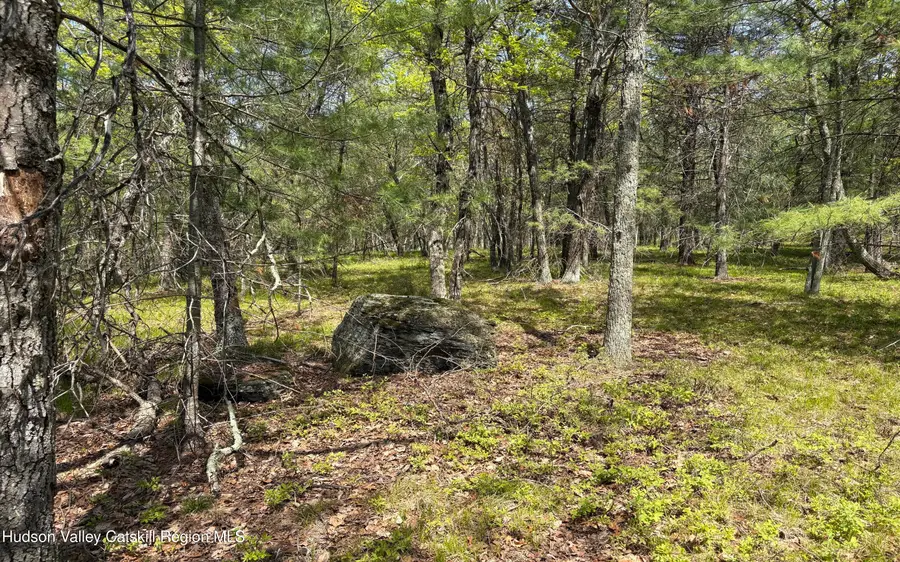 Tbd Route 28a, West Hurley, NY 12491 - #2