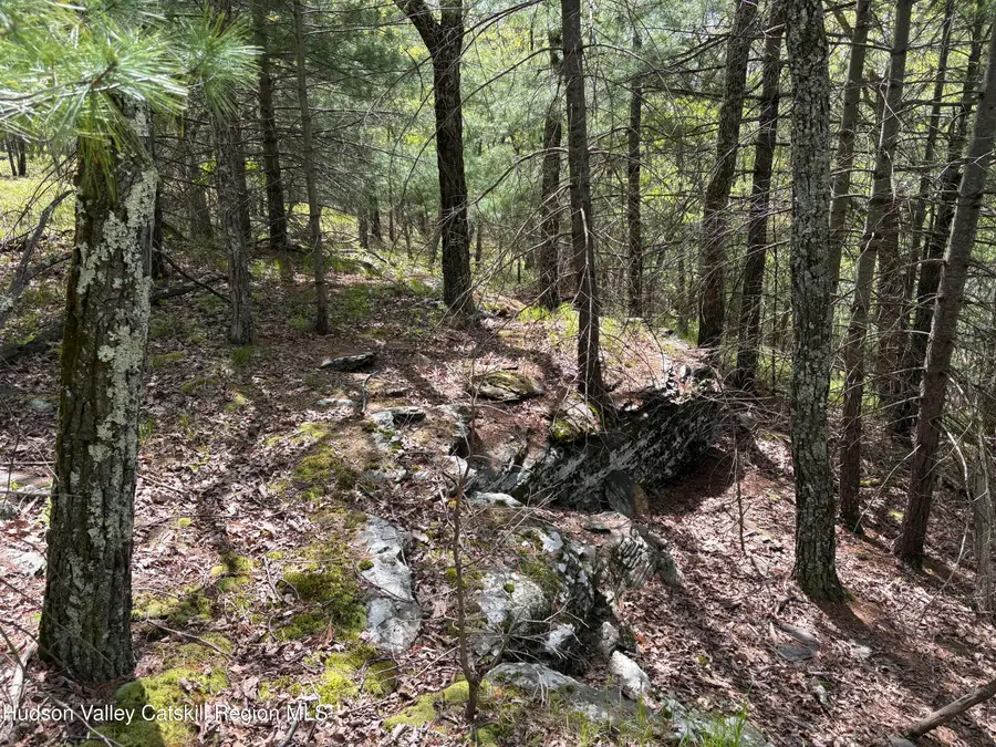 Tbd Route 28a, West Hurley, NY 12491 - #3