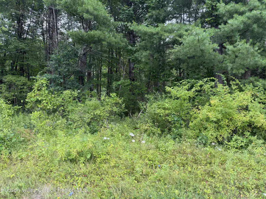 L-15 New York 32, Greenville, NY 12083 - #2