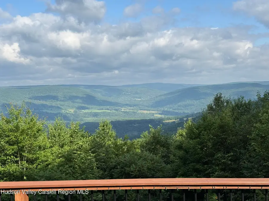415 High Pine Meadows Road, Middleburgh, NY 12122 - #3