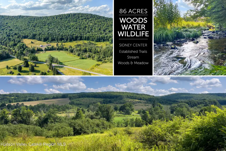 Lot 11 Franklin Depot Road, Sidney, NY 13838 - #2