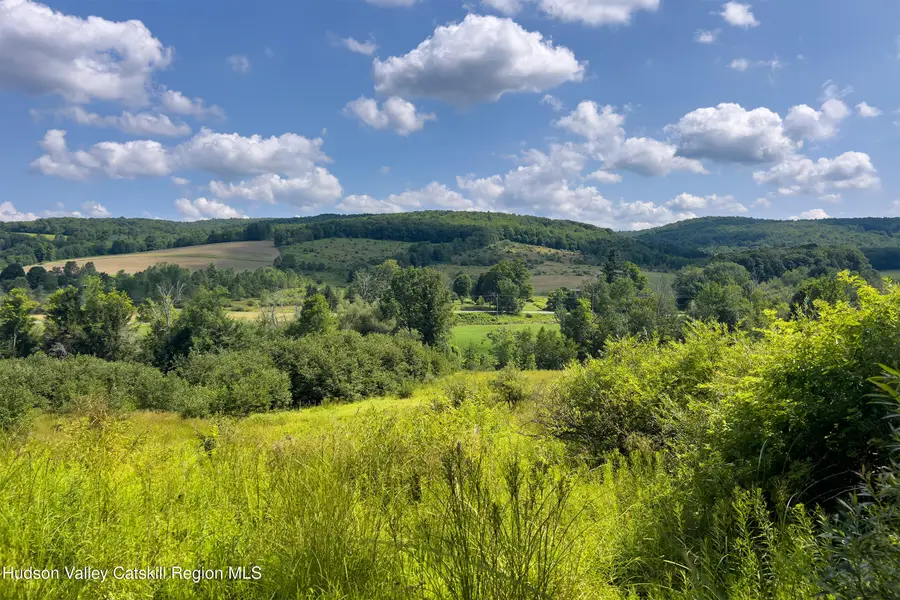 Lot 11 Franklin Depot Road, Sidney, NY 13838 - #3