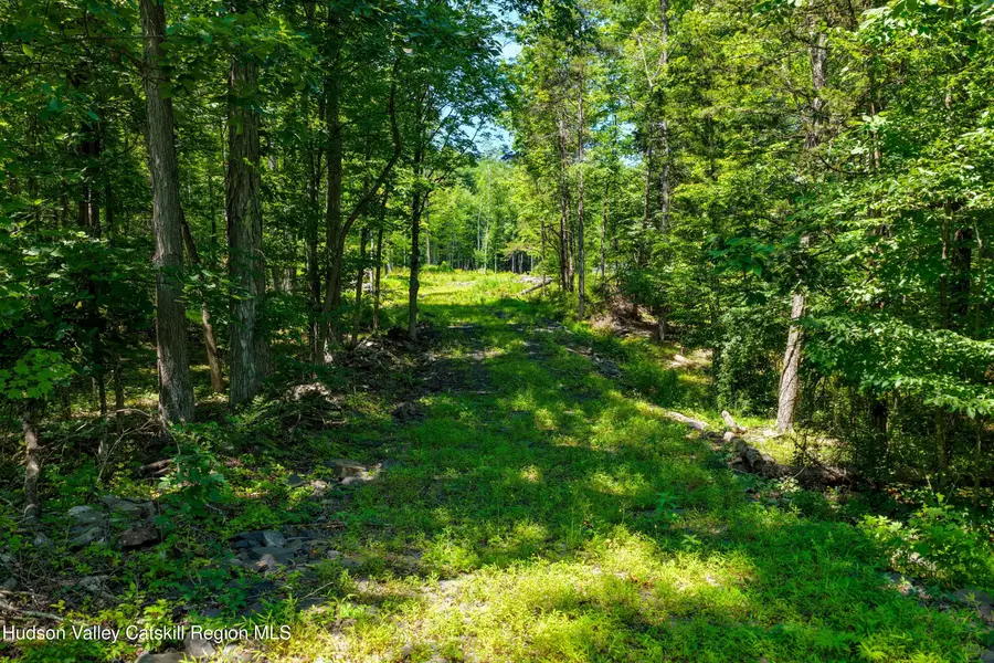 153 Roosevelt Avenue, Cairo, NY 12413 - #3