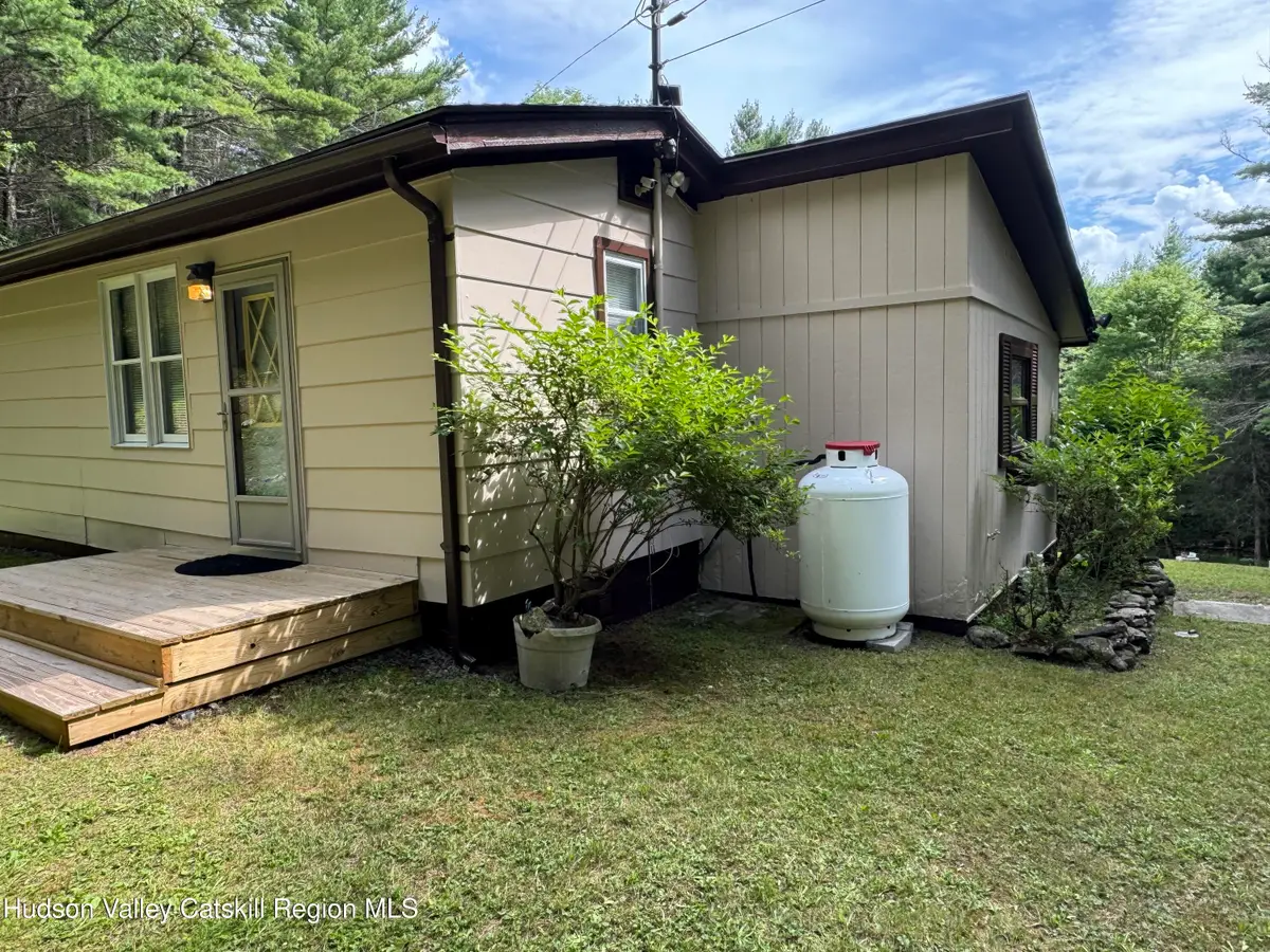 44 Alpine View Road, Prattsville, NY 12468 - #1
