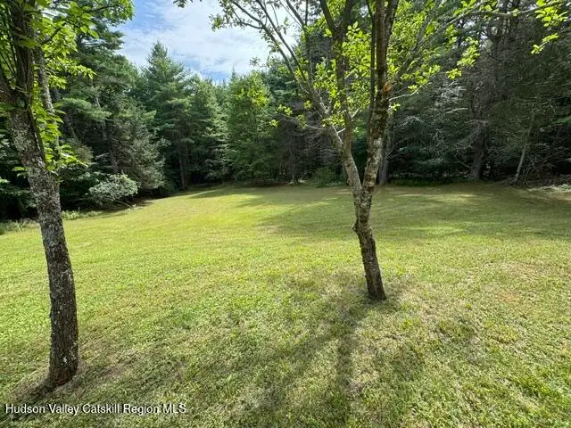 44 Alpine View Road, Prattsville, NY 12468 - #2
