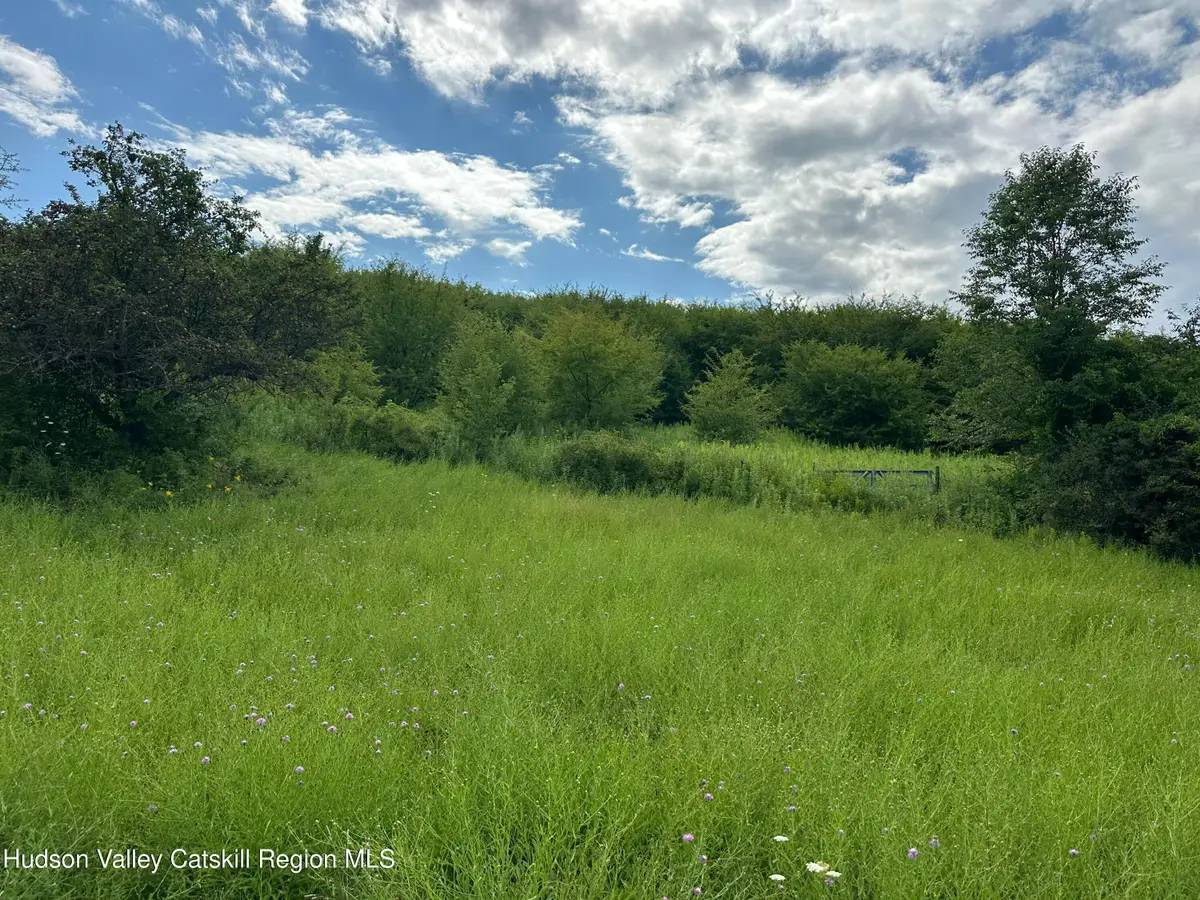 Lot 53 New York 66, Malden Bridge, NY 12115 - #1
