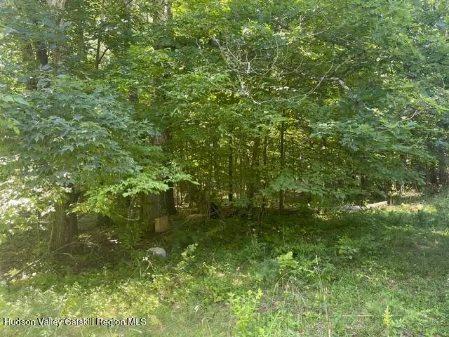 171 Woodland Drive, Purling, NY 12470 - #3