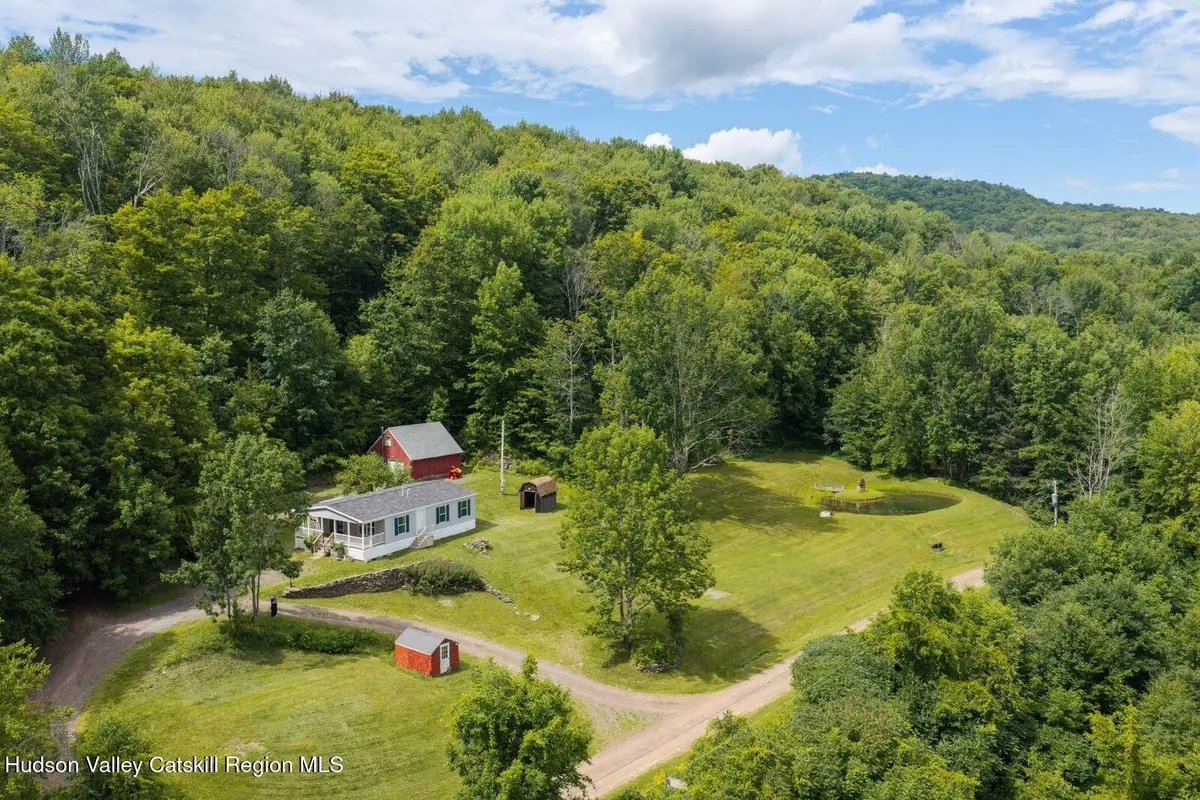 195 Berry Hill Road, Andes, NY 13731 - #1