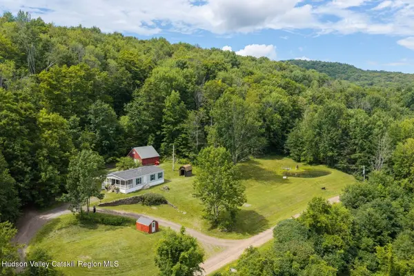 195 Berry Hill Road, Andes, NY 13731