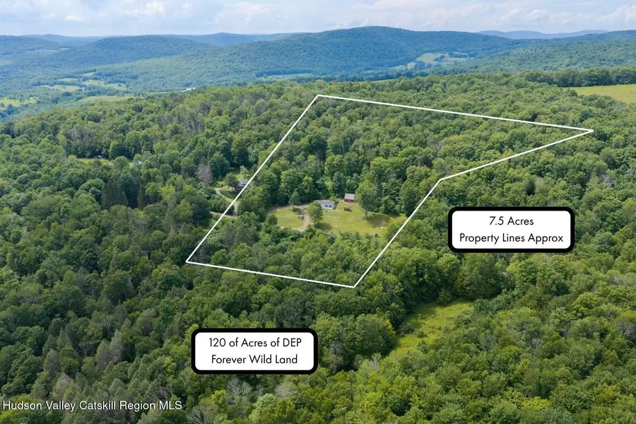 195 Berry Hill Road, Andes, NY 13731 - #3