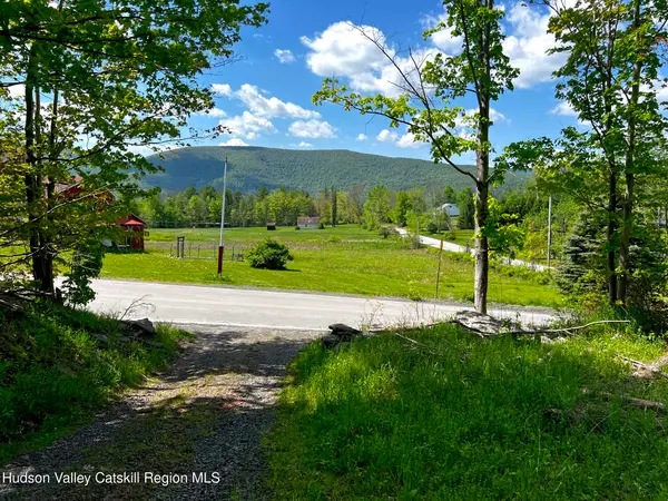 443 County Road 13, Prattsville, NY 12468