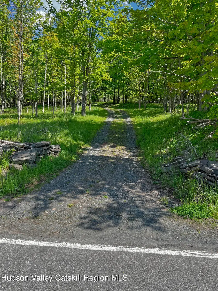 443 County Road 13, Prattsville, NY 12468 - #2