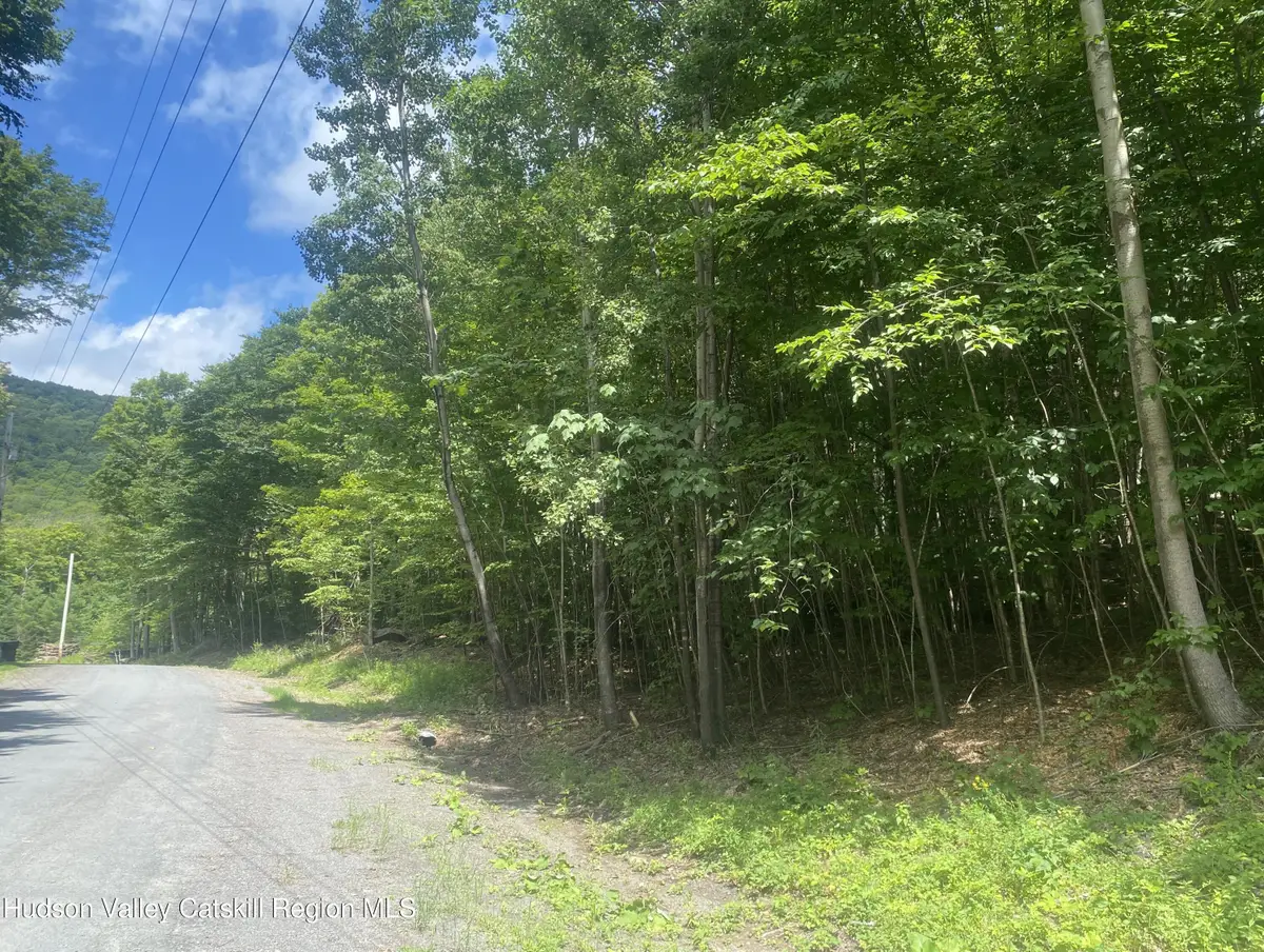 140 Arbor Road, West Kill, NY 12492 - #1