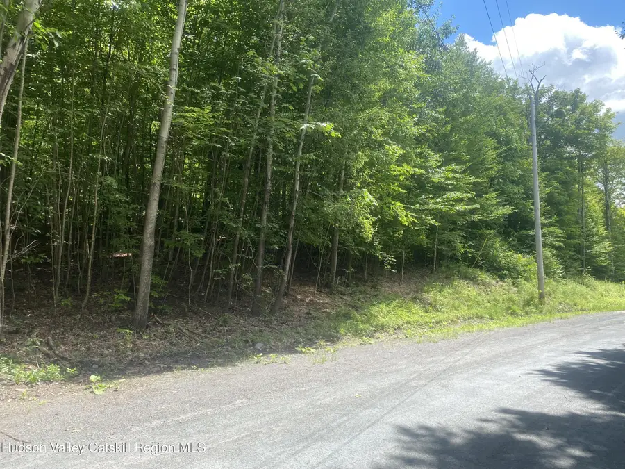 140 Arbor Road, West Kill, NY 12492 - #2
