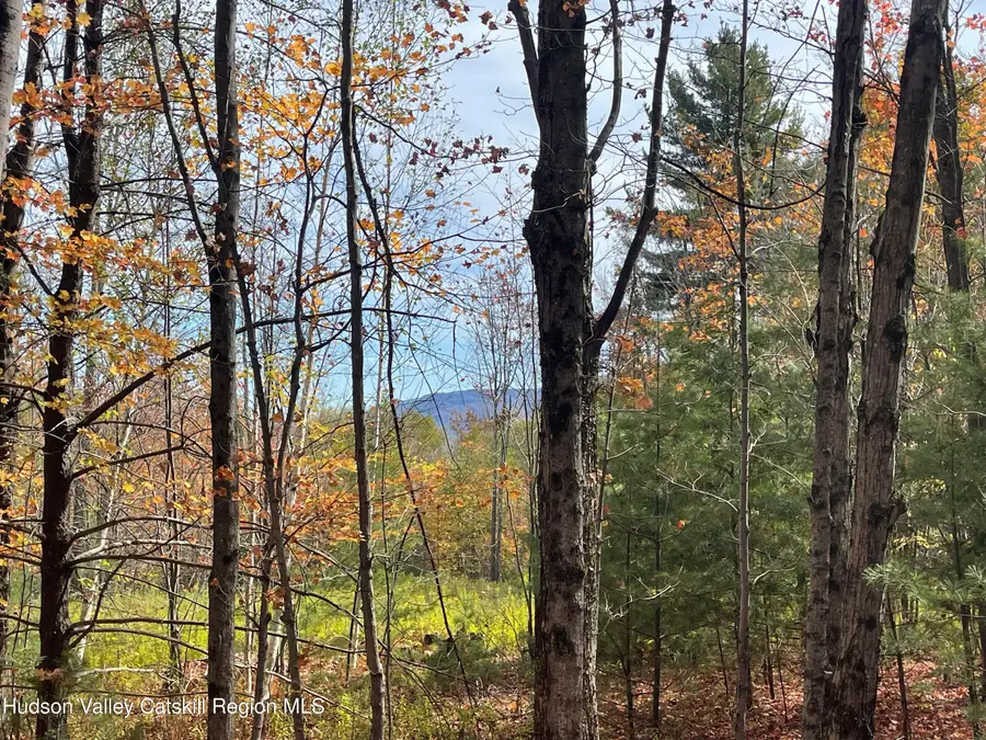 0 Tower Mountain Road, Jewett, NY 12444 - #2