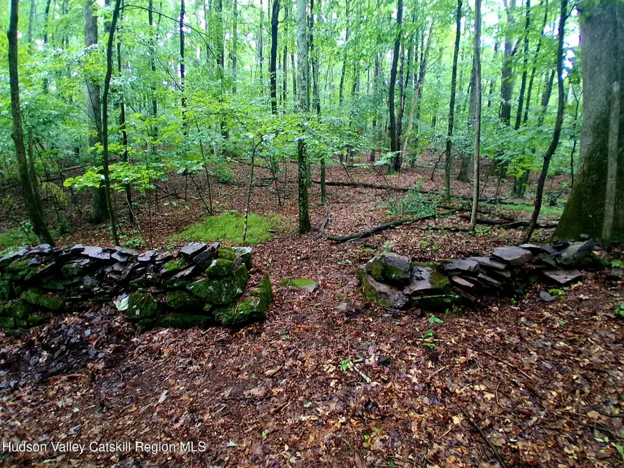 248 Canniff Road, Cairo, NY 12413 - #2