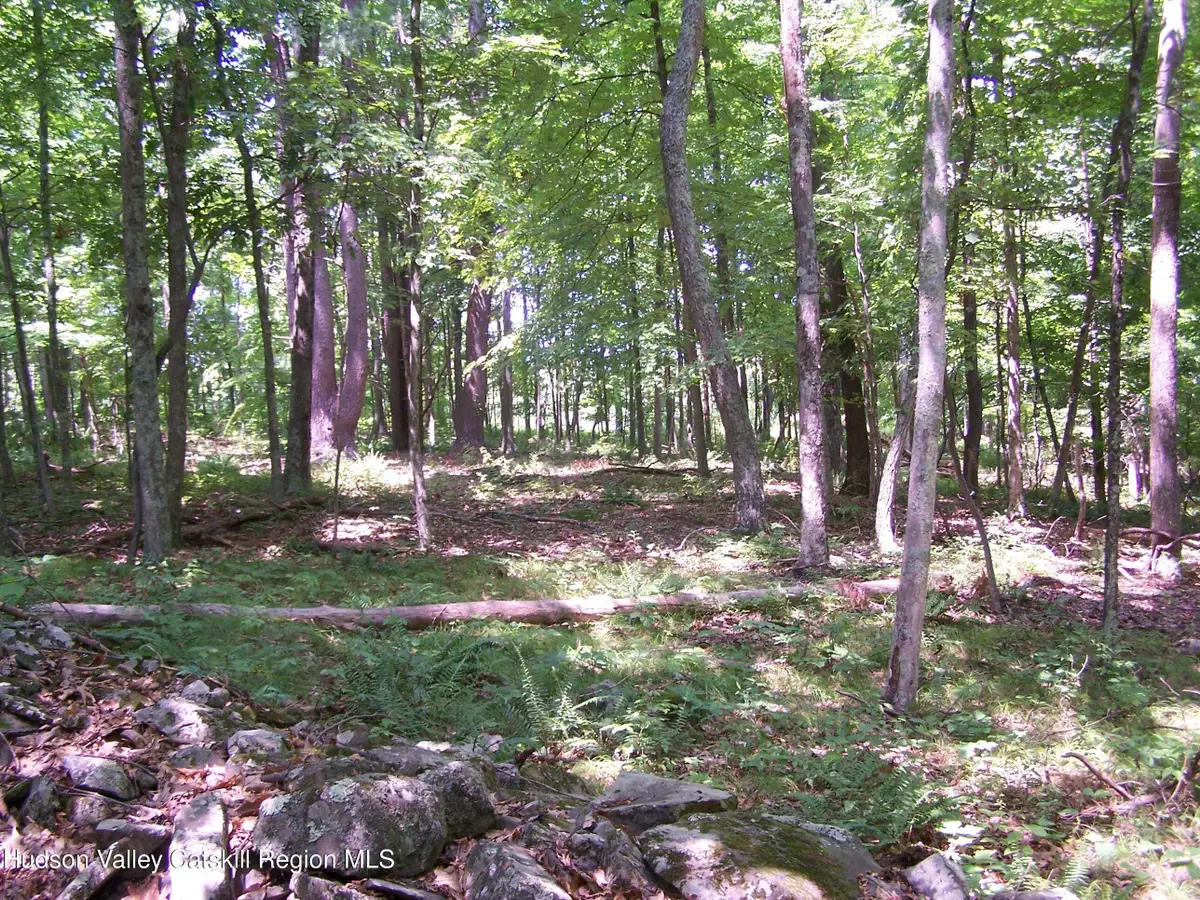 110 Burleigh Road, New Paltz, NY 12561 - #1