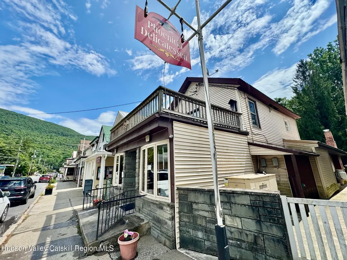 46 Main Street, Phoenicia, NY 12464 - #1