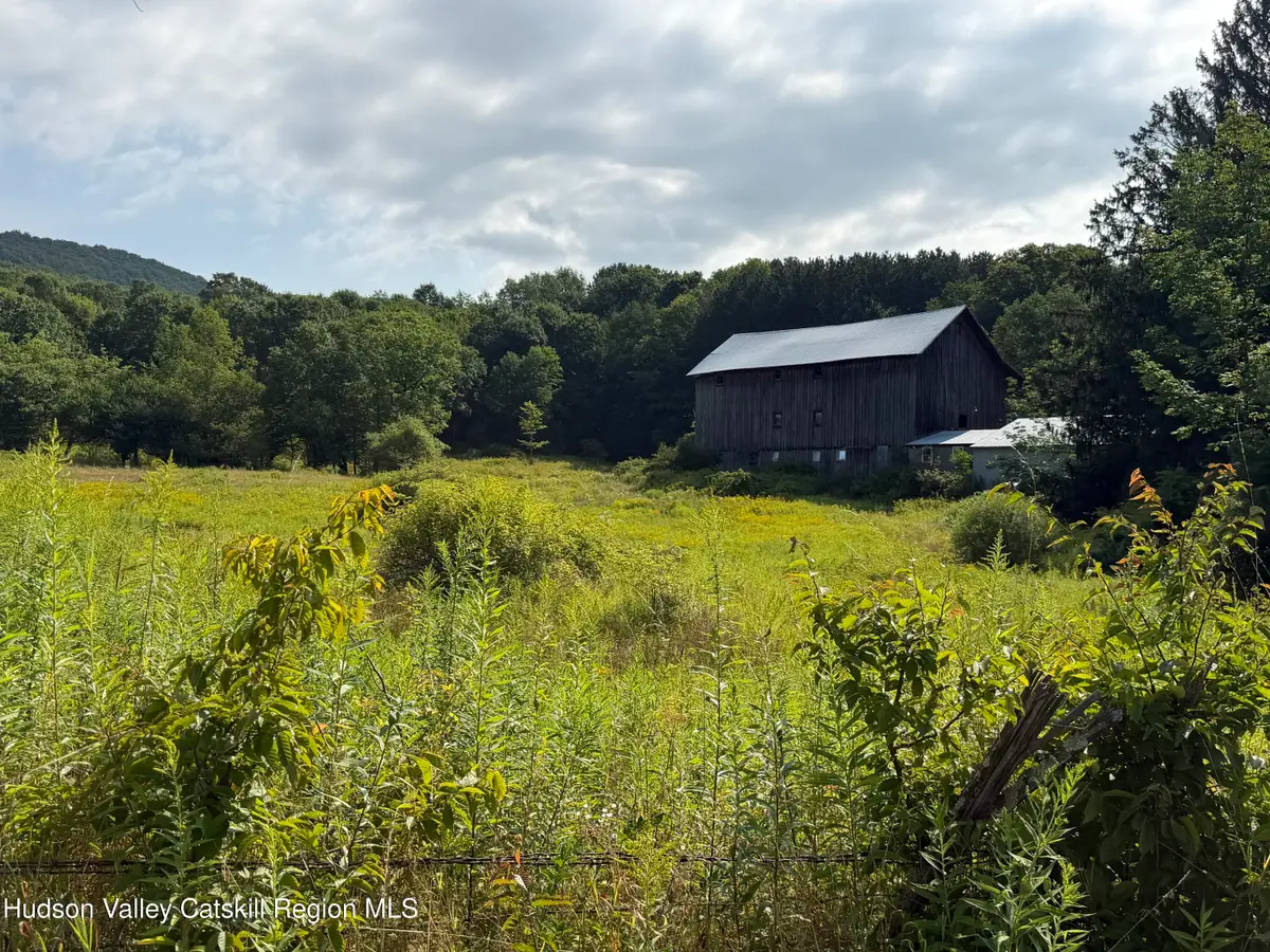 1006 Gladstone Hollow Road, Andes, NY 13731 - #1