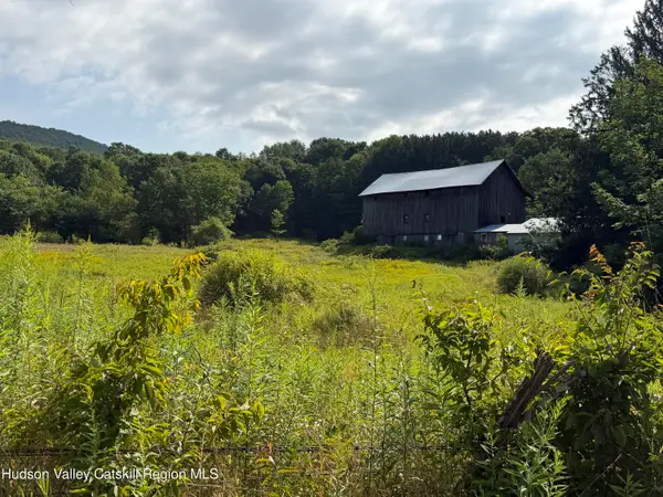 1006 Gladstone Hollow Road, Andes, NY 13731
