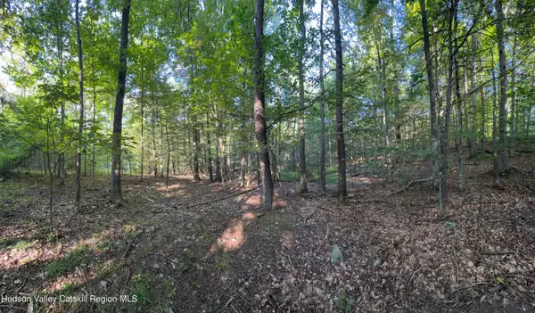 Tbd Hidden Court, Mt. Tremper, NY 12457