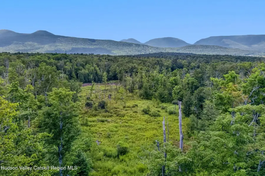 0 County Route 25, Hunter, NY 12442 - #2