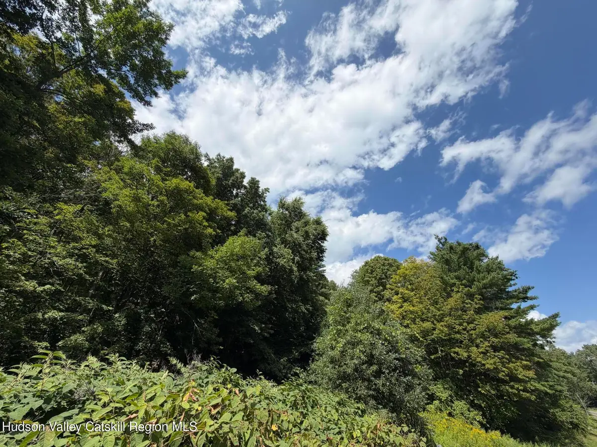 0 Ny 22, Hillsdale, NY 12529 - #1