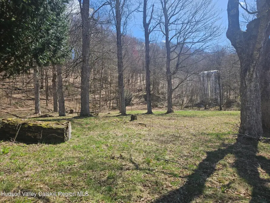 2374 River Road, Downsville, NY 13755 - #3